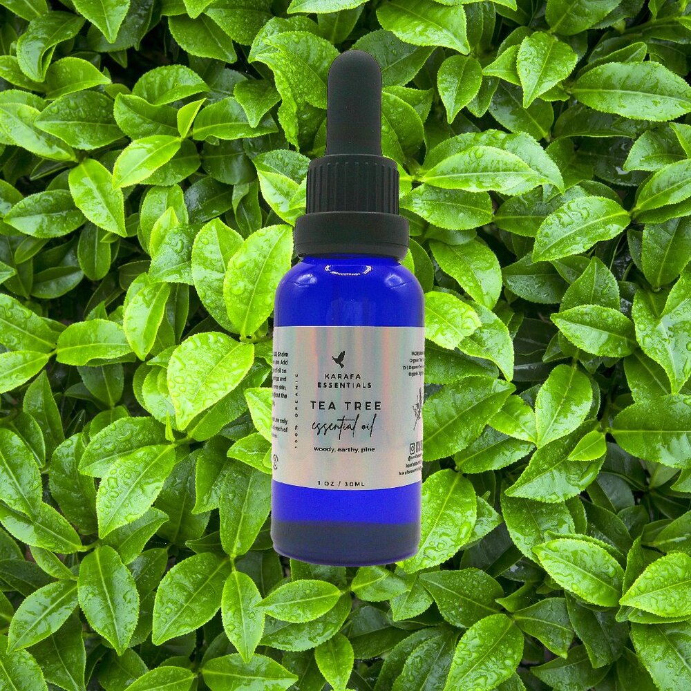 Tea Tree Essential Oil (Handmade)